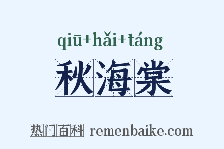 秋海棠是什么意思的图片